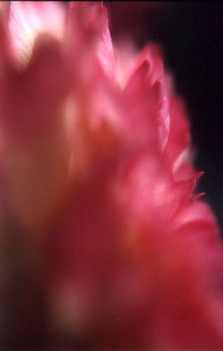 Fotos Martina Franke - Bauch