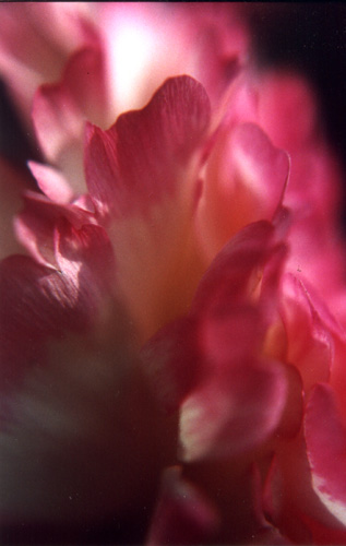 Fotos Martina Franke - Bauch