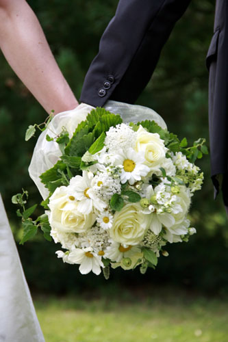 Fotos Martina Franke - Hochzeit