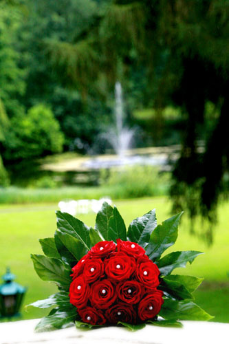 Fotos Martina Franke - Hochzeit