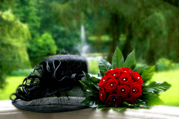 Fotos Martina Franke - Hochzeit