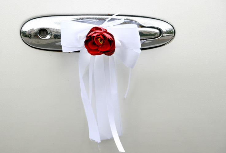 Fotos Martina Franke - Hochzeit