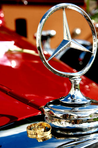 Fotos Martina Franke - Hochzeit