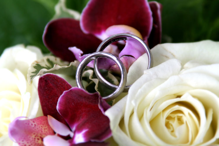 Fotos Martina Franke - Hochzeit